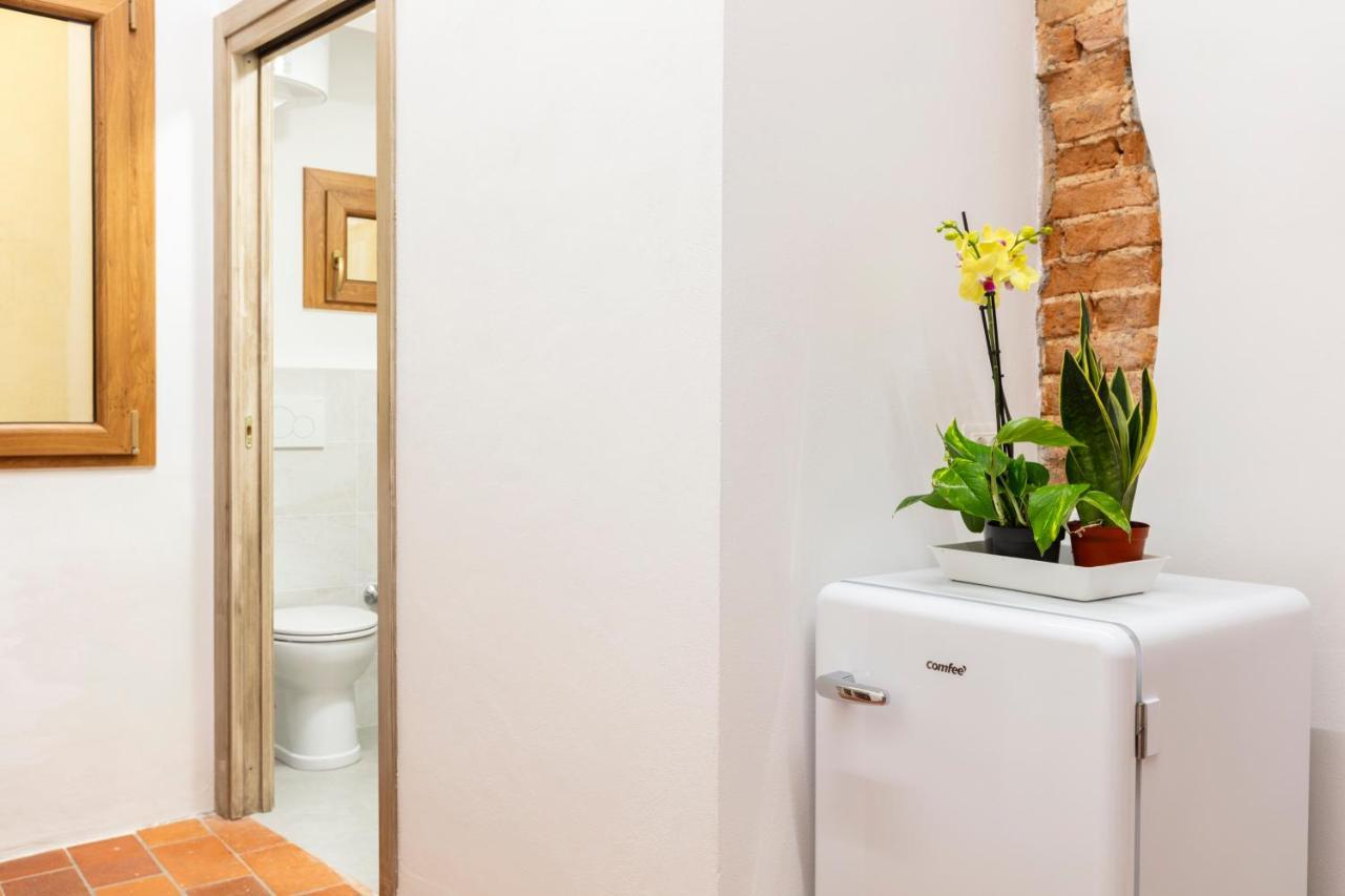 Central Cool Apt S. Spirito, Ac フィレンツェ エクステリア 写真